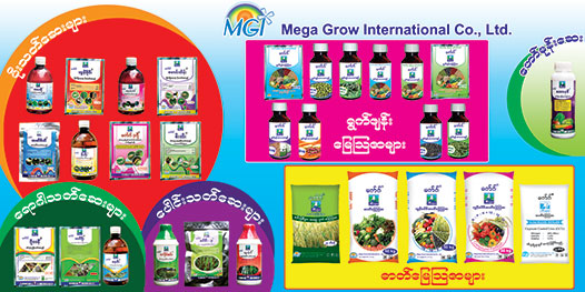 mega-grow